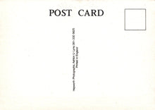 Load image into Gallery viewer, Back of a postcard with text and a rectangular area for a message.