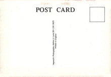 Load image into Gallery viewer, Back of a postcard with 'POST CARD' text and a rectangular area for an image.