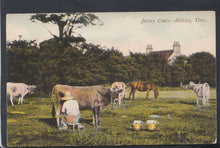 Load image into Gallery viewer, Channel Islands Postcard - Jersey Cows - Milking Time   RS18827

