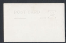 Load image into Gallery viewer, America Postcard - Tree, Lilly Redwood Park, California    T6030