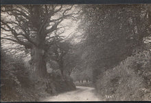 Load image into Gallery viewer, Unknown Location Postcard - Country Lane at Yeat, Devon or Cumbria? A7429