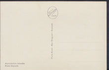 Load image into Gallery viewer, Syria Postcard - Damas - Palais Azem   A599