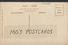 Load image into Gallery viewer, Shropshire Postcard - Street Scene in Knighton C264