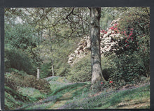 Load image into Gallery viewer, Sussex Postcard - The High Beeches Gardens, Handcross RR7124
