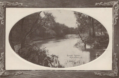 Australia Postcard - River Yarra, Healesville    RS23065