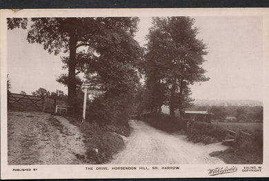 Middlesex Postcard - The Drive, Horsendon Hill, Near Harrow  MB758