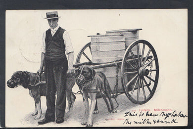 Switzerland Postcard - A Luzern Milchmann - Milkman and His Dog Cart  T6632