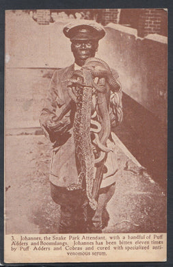 South Africa Postcard - Johannes, The Snake Attendant  T4404