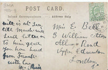 Load image into Gallery viewer, Occupation Postcard - British Medical Association Group 1903-09? - Ref 1613A