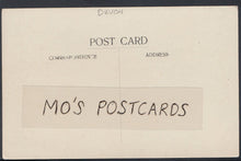 Load image into Gallery viewer, Devon Postcard - Coyshs Tea Gardens, Maidencoombe   A4534