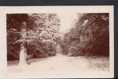 Nature Postcard - Woodland Walk Scene - Tree Scene  RS2320