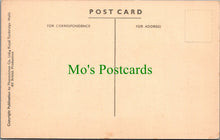 Load image into Gallery viewer, Views of Newport, Pembrokeshire