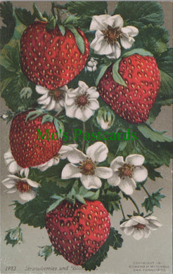 Nature Postcard - Fruit - Strawberries and Blossoms  Ref.SW9774