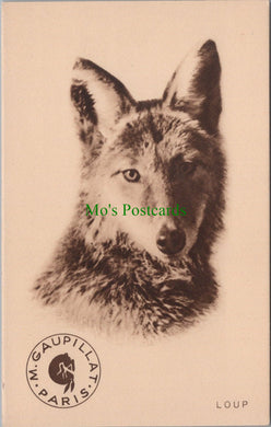 Animals Postcard - Wolf Dog    Ref.SW9871