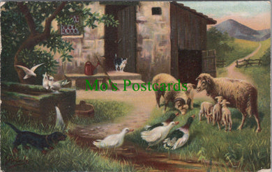 Animals Postcard, Farmyard Scene