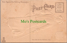 Load image into Gallery viewer, American Embossed Postcard - State of Maryland Lady Ref.SW9835