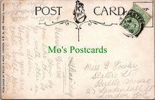 Load image into Gallery viewer, Teddy Bears Postcard - I am Having a Good Blow at Colchester Ref.SW9836