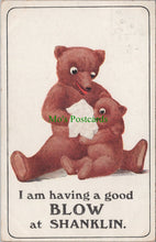 Load image into Gallery viewer, Teddy Bears Postcard - I am Having a Good Blow at Shanklin Ref.SW9838