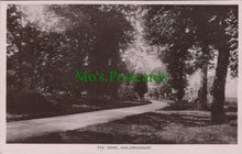 Load image into Gallery viewer, Hertfordshire Postcard - The Drive, Childwickbury Ref.SW9854