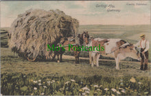 Load image into Gallery viewer, Guernsey Postcard - Carting Hay, Farming Ref.SW9857