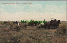 Load image into Gallery viewer, Canada Postcard - Canadian Harvesting Scenes, Reaping Wheat  Ref.HP324