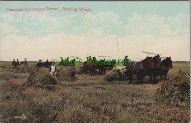Canada Postcard - Canadian Harvesting Scenes, Reaping Wheat  Ref.HP324