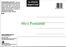 Load image into Gallery viewer, Grizzly Bear and Cub, Canada