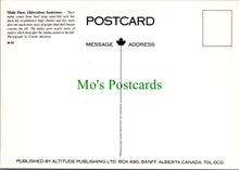 Load image into Gallery viewer, Pair of Mule Deer, Canada