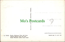 Load image into Gallery viewer, Spain Postcard - Sevilla - Royal Moorish Castle: Lion Court  Ref.SW10088