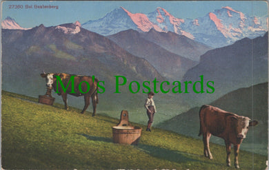 Switzerland Postcard - Bei Beatenberg - Two Cows Ref.SW10179
