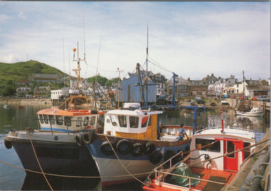 Scotland Postcard - Fishing Port of Mallaig, Inverness-shire Ref.SW9949