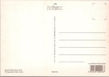 Load image into Gallery viewer, Yorkshire Postcard - Street Performers in York Ref.SW9950