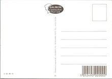 Load image into Gallery viewer, Somerset Postcard - Views of Watchet Ref.SW9951