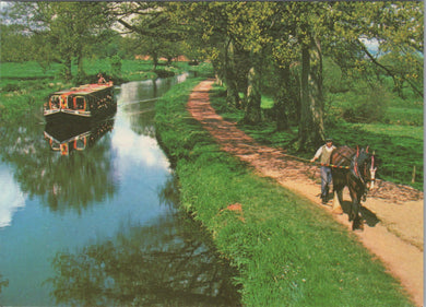 Devon Postcard - Boat Horse 