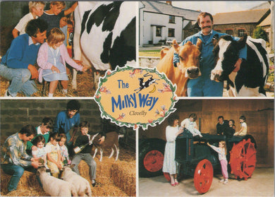 Devon Postcard - The Milky Way Working Dairy Farm, Clovelly Ref.SW9967
