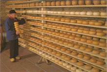 Load image into Gallery viewer, Food Postcard - Dutch Cheese, Alida Hoeve, Ripening of Cheese Ref.SW10010
