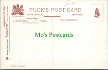 Load image into Gallery viewer, Butterflies and Moths - Foreign Moths