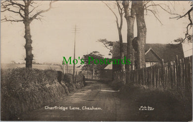 Chartridge Lane, Chesham, Buckinghamshire