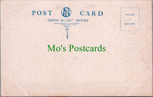 Load image into Gallery viewer, Sussex Postcard - Hastings From Castle SW10483