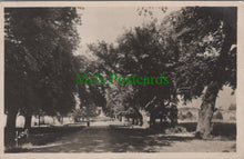 Load image into Gallery viewer, France Postcard - Commercy, Meuse, Avenue Des Tilleuls SW10532
