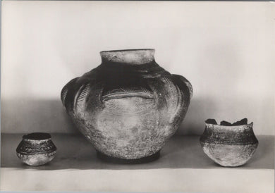 Luton Museum Postcard - Saxon Pottery, Two Food Vessels & Cinerary Urn SW10277