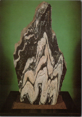 Geological Museum Postcard - The Story of The Earth, Folded Lewisian Gneiss SW10289