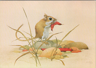 Animal Art Postcard - Gerbil Eating a Judas Tree Pod, Kenneth Lilly SW10307