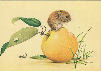 Animal Art Postcard - Field Vole, Kenneth Lilly SW10308
