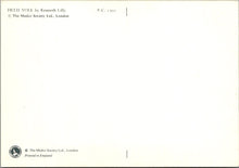 Load image into Gallery viewer, Animal Art Postcard - Field Vole, Kenneth Lilly SW10308