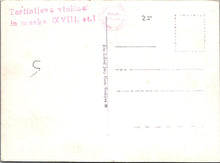 Load image into Gallery viewer, Music Postcard - Tartinijeva Violina in Maska SW10353