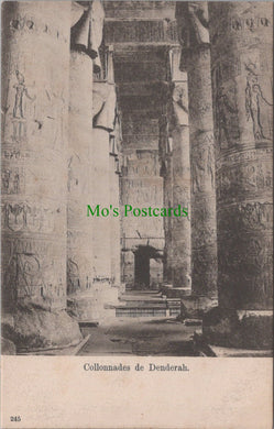 Egypt Postcard - Collannades De Denderah  SW10904