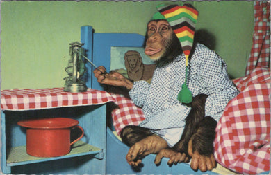 Animals Postcard - Chimpanzee Sat in Bed  SW10640