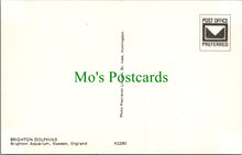 Load image into Gallery viewer, Animals Postcard - Dolphins at Brighton Aquarium, Sussex SW10368