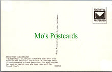 Load image into Gallery viewer, Animals Postcard - "Sunshine" Baby Seal, Brighton Aquarium, Sussex SW10369